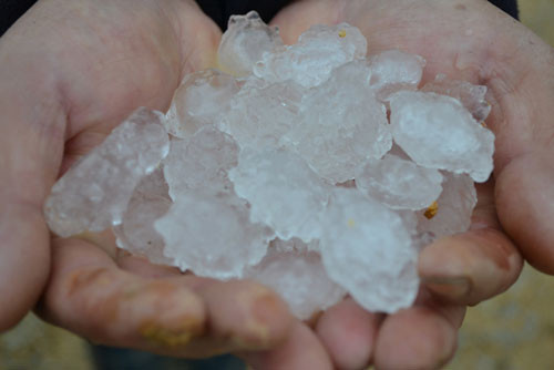 Đá thu gom sau mưa đá Đá thu gom sau mưa đá