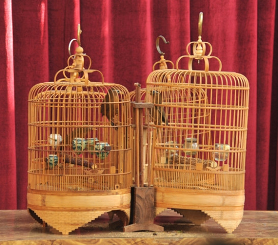 Cuộc tranh hùng của "đấu sỹ rừng xanh" Cuộc tranh hùng của "đấu sỹ rừng xanh"