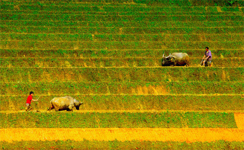 Làm đất vụ mới Làm đất vụ mới