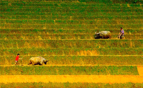 Làm đất vụ mới Làm đất vụ mới