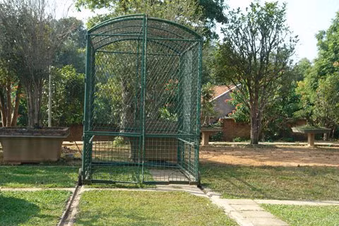 Chiếc lồng sắt di chuyển được dùng để "cất" cây Mâm xôi con gà vào ban đêm tại vườn riêng.