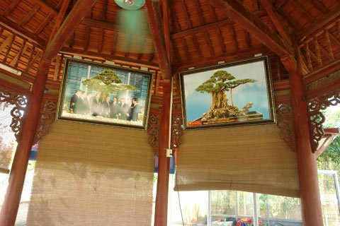 Quảng bá cây thương hiệu triệu đô tại vườn của đại gia Thành "vàng".