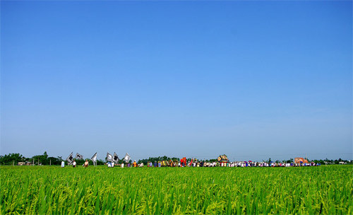 Thái Bình Thái Bình