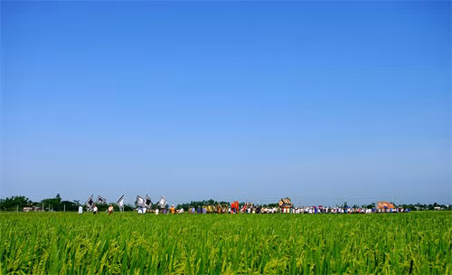 Thái Bình Thái Bình