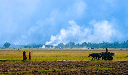 Cánh đồng Ninh Thuận Cánh đồng Ninh Thuận