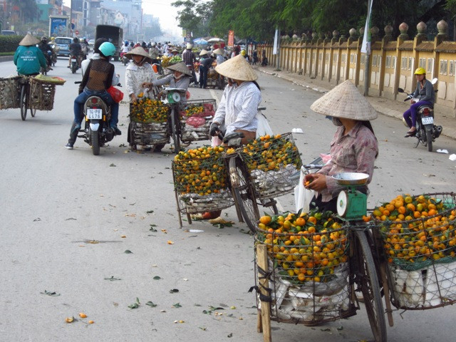 Dọc quốc lộ 32, đoạn Cầu Diễn có gần 20 hàng hoa quả bán ở lòng đường Dọc quốc lộ 32, đoạn Cầu Diễn có gần 20 hàng hoa quả bán ở lòng đường