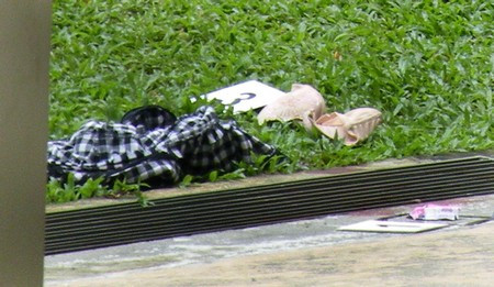 Singapore: Phát hiện một phụ nữ Việt chết trong tình trạng lõa thể ảnh 3