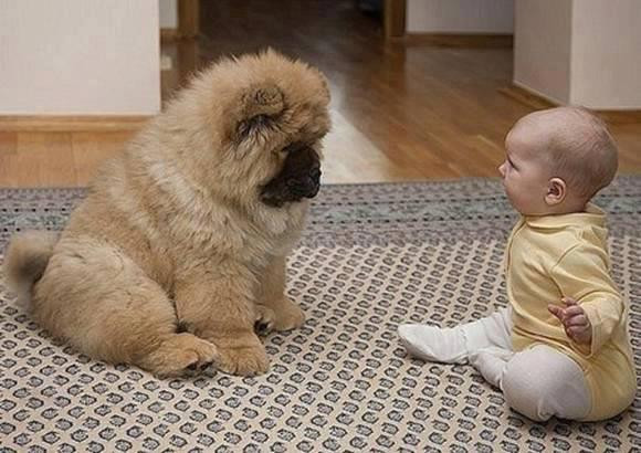 Facebook Hiếu Trần bình luận: "đôi bạn tâm giao đang trò chuyện" Facebook Hiếu Trần bình luận: "đôi bạn tâm giao đang trò chuyện"