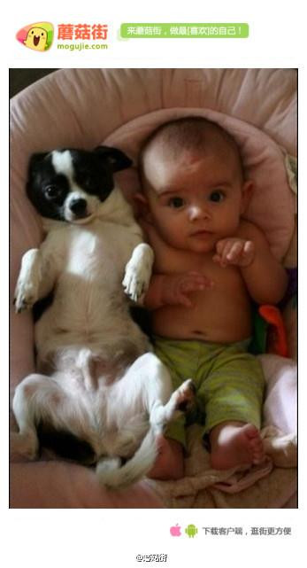 Ảnh được đăng trên Facebook Người tình Valentine với tựa đề: Đôi bạn thân