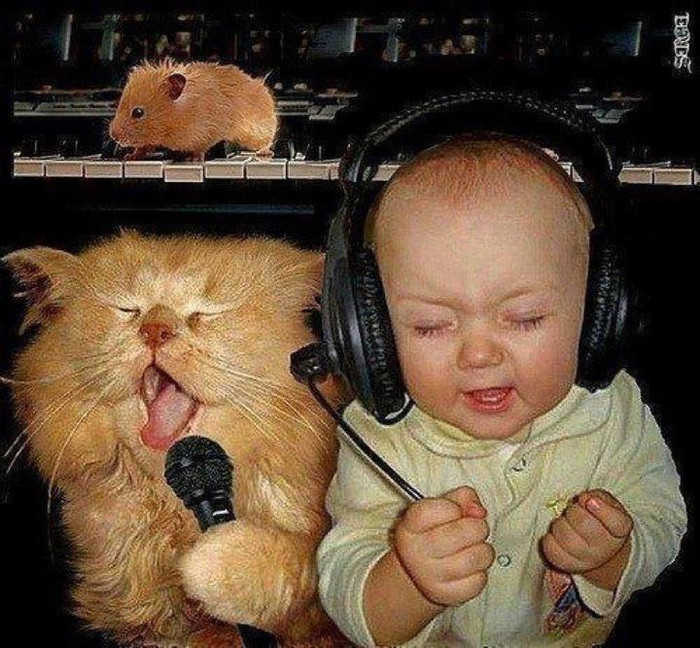 "Cặp đôi hoàn hảo" của Facebook HaTran