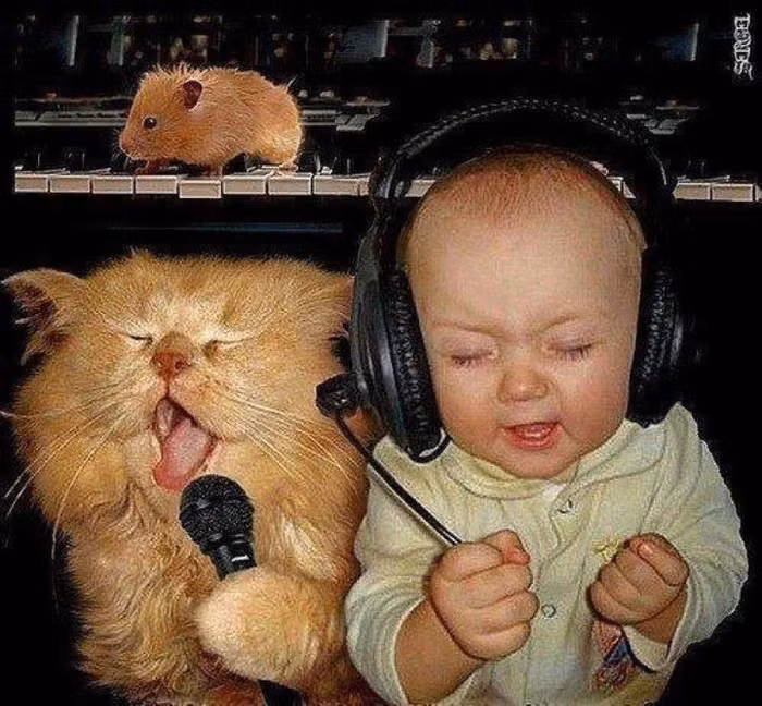 "Cặp đôi hoàn hảo" của Facebook HaTran