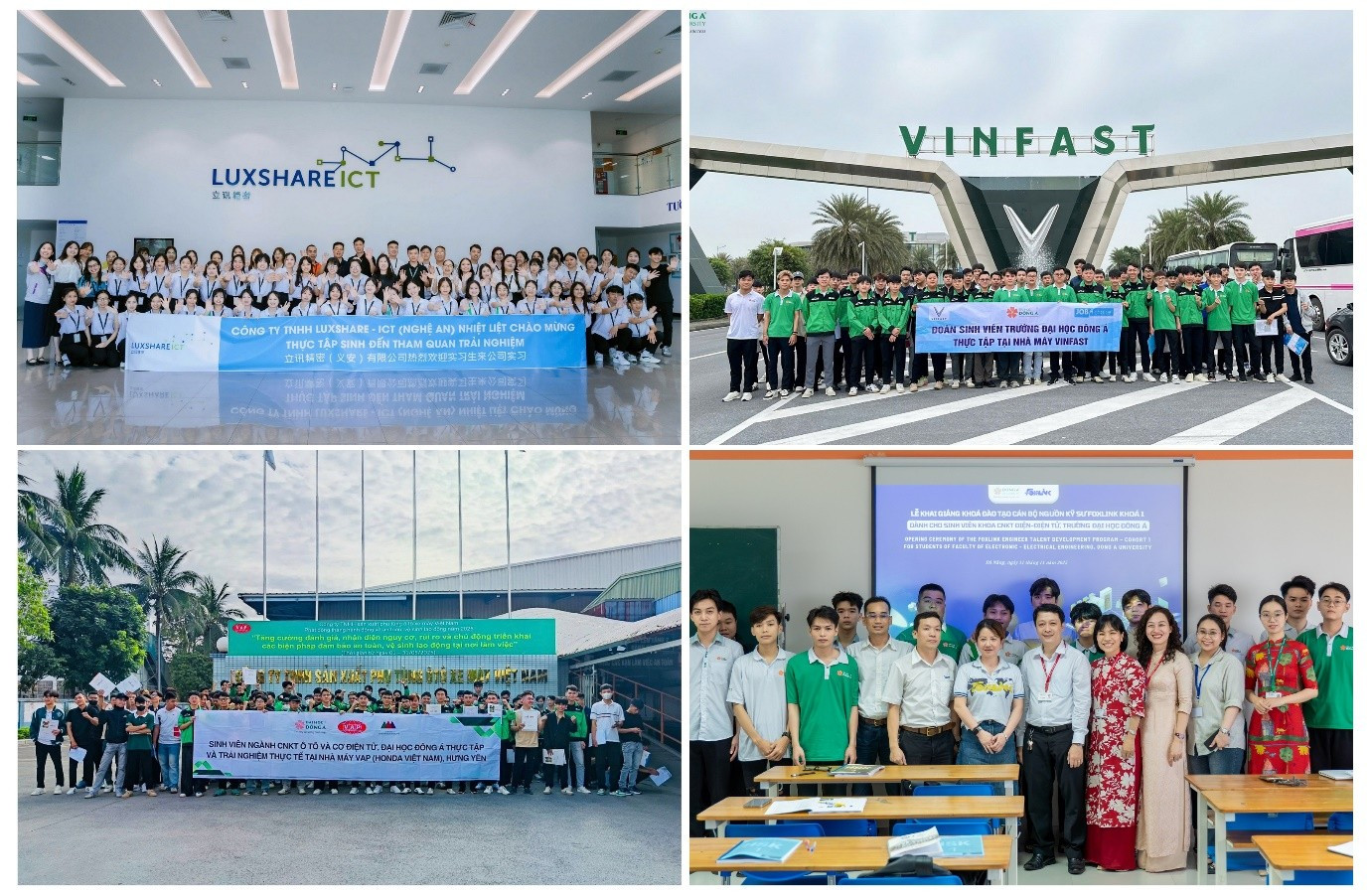 Sinh viên Trường Đại học Đông Á thực tập, làm việc tại các doanh nghiệp lớn trong nước và quốc tế. Ảnh: NTCC.