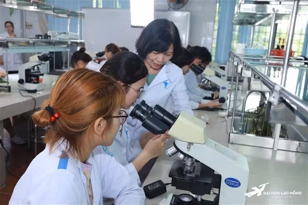 Dự kiến ít nhất 7 tiến sĩ chủ trì mỗi CTĐT: Cần làm rõ vai trò “chủ trì”, tránh hợp thức hóa hồ sơ