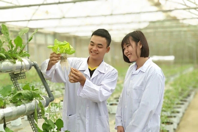 Ảnh minh họa: Website Trường Đại học Nông Lâm, Đại học Thái Nguyên.