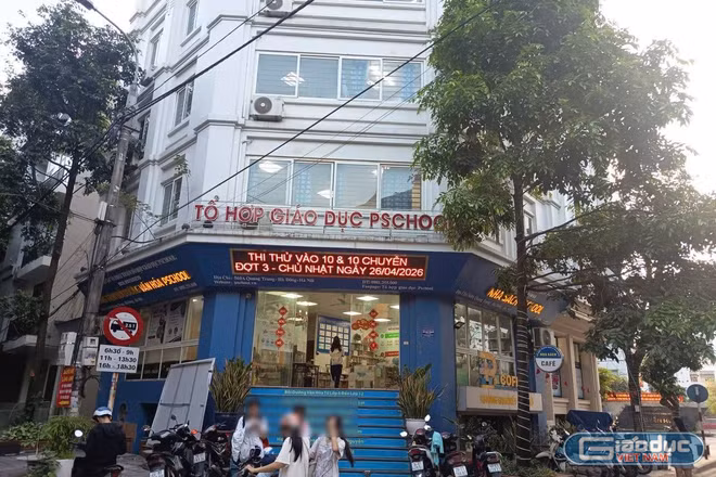 Tư vấn lịch học ôn vào trường CLC cho học sinh lớp 3,4: Pschool nói nhân viên mới đang học việc