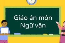 Yêu cầu lồng ghép tích hợp nhiều, giáo viên e ngại mất tính đặc trưng môn học