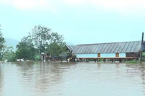 Tập trung ứng phó với lũ trên sông Ba ở Đắk Lắk và sông Kôn ở Gia Lai