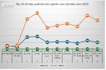 Xếp hạng hiệu suất thành tựu bài báo nghiên cứu của các CSGDĐH Việt Nam nửa đầu năm 2025