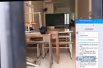 Cận cảnh học sinh THCS An Khánh kể học thêm giáo viên chính khóa, Hiệu trưởng được báo cáo ra sao?