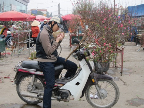 Theo ghi nhận của phóng viên, giá đào sớm thường rẻ hơn chút ít so với đào được bán trong dịp Tết Nguyên đán nên thu hút nhiều người mua. Theo ghi nhận của phóng viên, giá đào sớm thường rẻ hơn chút ít so với đào được bán trong dịp Tết Nguyên đán nên thu hút nhiều người mua.