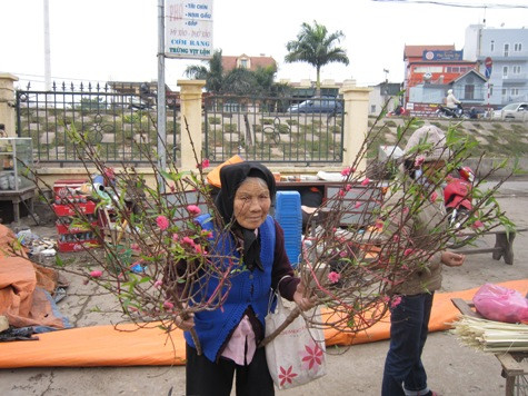 Trong ngày đầu năm mới, các cụ già mang đào lộc đi bán kiếm thêm thu nhập. Trong ngày đầu năm mới, các cụ già mang đào lộc đi bán kiếm thêm thu nhập.