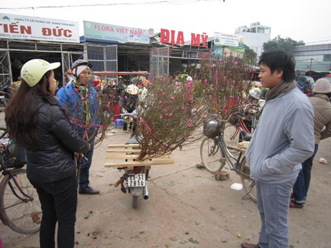 Những năm trở lại đây, thú chơi đào sớm đã trở nên quen thuộc với người Hà Nội với mong muốn mang tiết xuân ấm áp vào ngôi nhà của mình… Những năm trở lại đây, thú chơi đào sớm đã trở nên quen thuộc với người Hà Nội với mong muốn mang tiết xuân ấm áp vào ngôi nhà của mình…