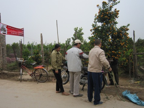 Năm nay, quất nhỏ có giá từ 200.000 – 1.000.000đ/cây, cây to thế đẹp khoảng 4.000.000 - 6.000.000đ/cây. Những gốc quất to thuê có giá từ 5.000.000đ - 10.000.000đ/cây. Năm nay, quất nhỏ có giá từ 200.000 – 1.000.000đ/cây, cây to thế đẹp khoảng 4.000.000 - 6.000.000đ/cây. Những gốc quất to thuê có giá từ 5.000.000đ - 10.000.000đ/cây.