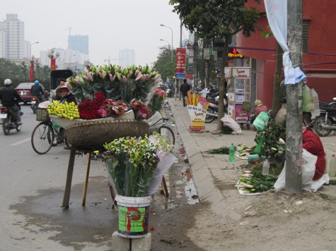 Cùng với xu hướng tăng giá của đào quất, các loại hoa hồng, hoa ly, hoa tuplip... cũng tăng giá khoảng 15% so với những ngày trước đó. Cùng với xu hướng tăng giá của đào quất, các loại hoa hồng, hoa ly, hoa tuplip... cũng tăng giá khoảng 15% so với những ngày trước đó.