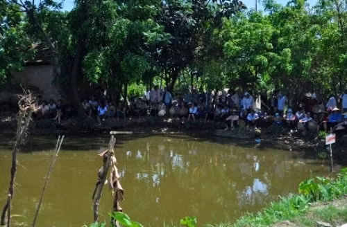 Ao cá, nơi phát hiện xác chết của nữ sinh