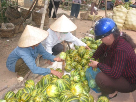 Thông tin về việc chồng giết vợ con sau khi ăn dưa bở chỉ là "tin vịt"