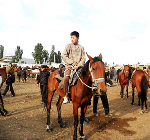 Cưỡi thử trước khi mua về