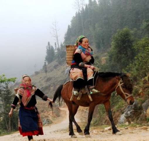 Chợ ngựa họp một tuần một phiên vào chủ nhật, chợ họp trên bãi đất rộng giữa trung tâm thị trấn Bắc Hà