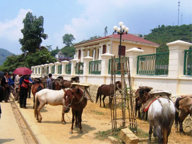 Bắc Hà là nơi duy nhất ở Lào Cai có chợ ngựa