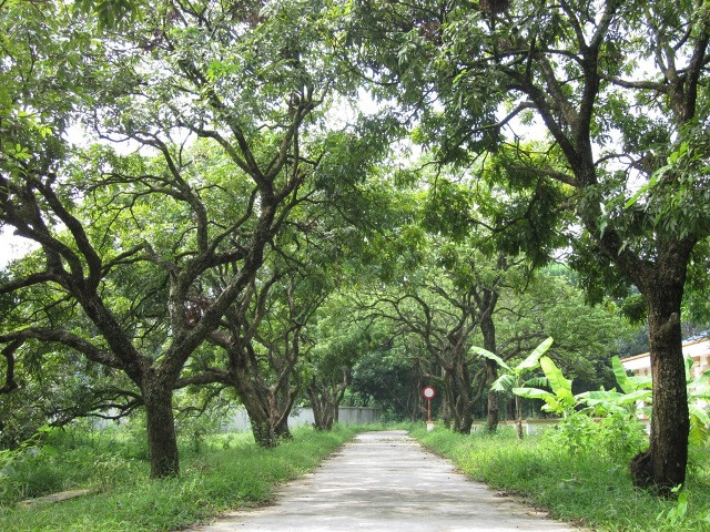 Chùa Bà Đanh hay còn gọi “Bảo Sơn Nữ”, tọa lạc trên một vùng đất tại thôn Đanh Xá, xã Ngọc Sơn, huyện Kim Bảng, Hà Nam. Chùa có diện tích khoảng 10ha, được xem là một trong những ngôi chùa đẹp và cổ kính nhất Hà Nam