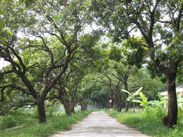 Chùa Bà Đanh hay còn gọi “Bảo Sơn Nữ”, tọa lạc trên một vùng đất tại thôn Đanh Xá, xã Ngọc Sơn, huyện Kim Bảng, Hà Nam. Chùa có diện tích khoảng 10ha, được xem là một trong những ngôi chùa đẹp và cổ kính nhất Hà Nam