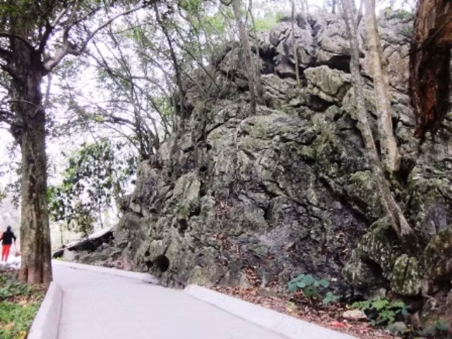 Hòn non bộ bên lối vào chùa