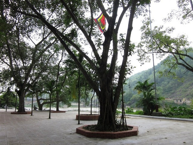 Không gian quanh chùa thoáng mát