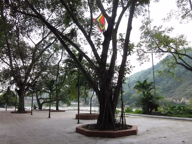 Không gian quanh chùa thoáng mát