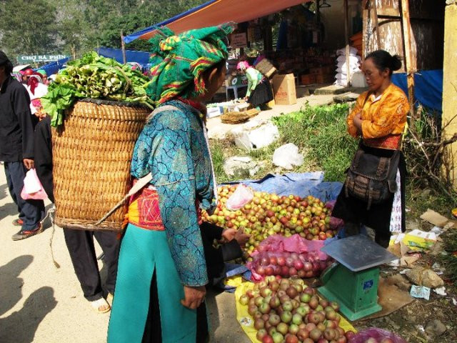 Rau, củ qua do bà con trồng