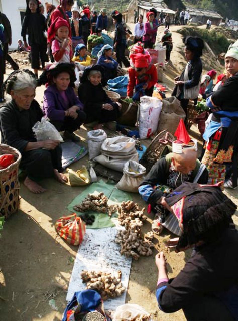 Gừng tươi của người dân tộc