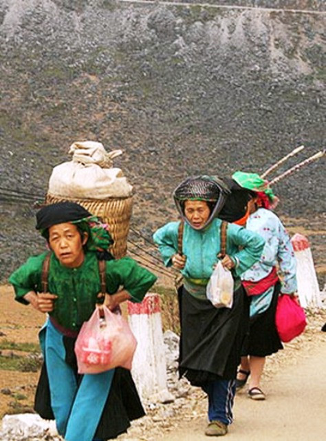 Địu hàng về nhà...