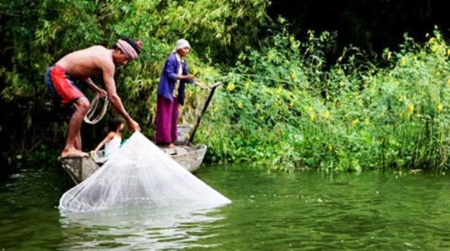 Mỗi khi nước lũ về, cả cánh đồng vùng Tây Nam bộ ngập mênh mông nước, cũng là lúc người dân vùng biên nơi đây đi bắt rắn đưa ra chợ bán