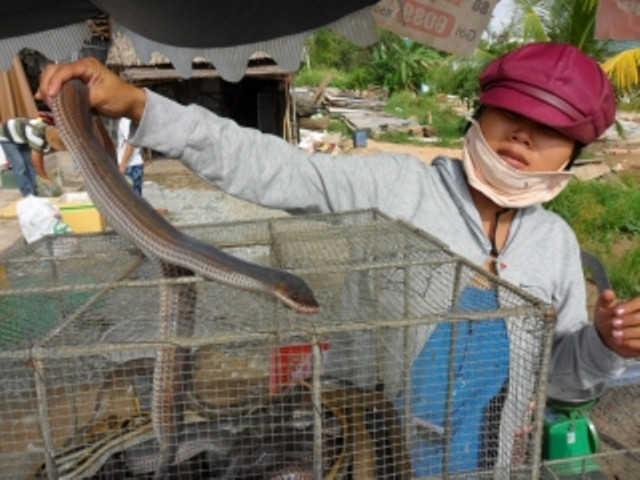 Những loại rắn bung búng, rắn nước thì chỉ 100 ngàn/kg. Rắn dằn ri giá khoảng 250.000 đồng/kg