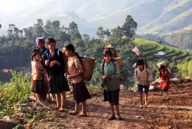 Sau buổi học các em tranh thủ lên nương rẫy giúp bố mẹ làm việc hay đơn giản là nhặt nhạnh những que củi khô về đun nước