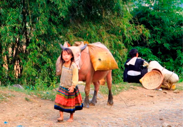 7 tuổi, tự đánh trâu ra chợ mua đồ cho bố mẹ