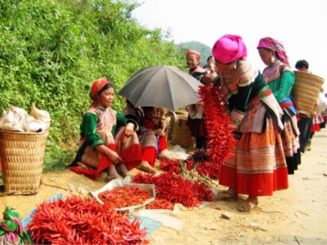 Ớt tươi người dân tự tay trồng Ớt tươi người dân tự tay trồng