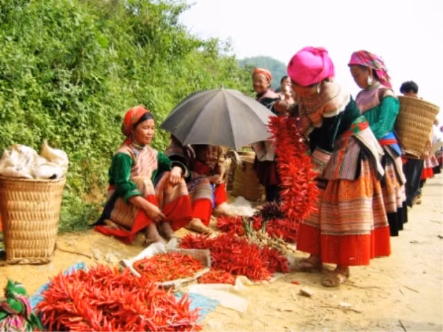 Ớt tươi người dân tự tay trồng