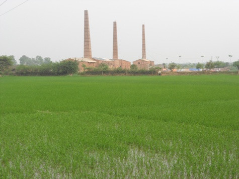 Những lò gạch đang hoạt động hết công suất cả ngày lẫn đêm là mối nguy hại đến hoa màu, lúa... của nhiều người dân thôn An Hạ.