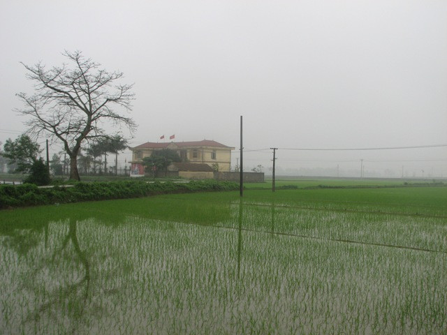 Diện tích khai hoang của gia đình ông Ngọc bao quanh UBND xã Tiên Tân