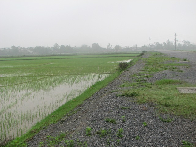 Theo ông Ngọc, khu đất này trước kia gia đình ông nhận cải tạo, phục hóa chứ không thuê khoán của UBND xã Tiên Tân nên không thuộc đất công ích